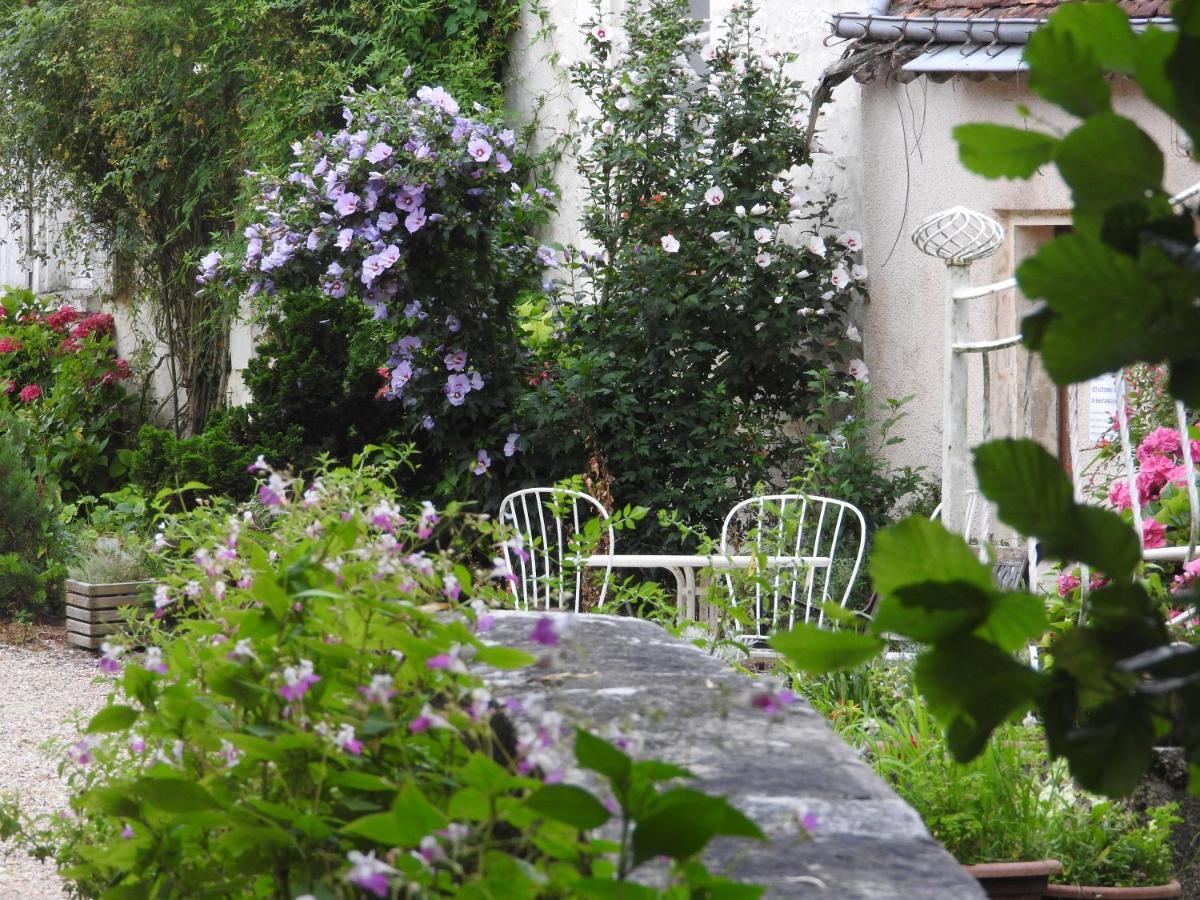Bed and Breakfast Le Moulin De Saussaye Crouzilles Exterior foto