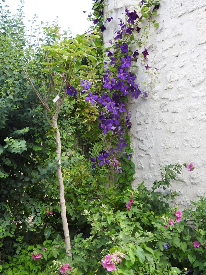 Bed and Breakfast Le Moulin De Saussaye Crouzilles Exterior foto